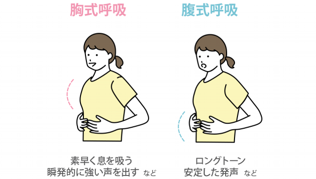 腹式呼吸と胸式呼吸の違い